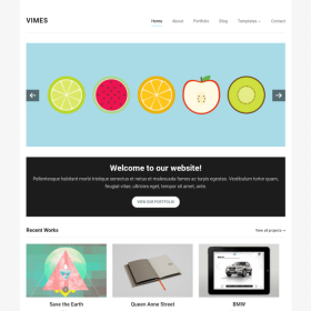 WPZoom Vimes WordPress Theme