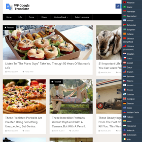 MyThemeShop WP Google Translate