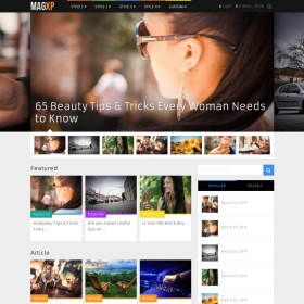 MyThemeShop WP Mega Menu
