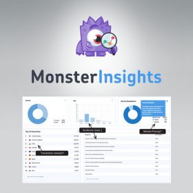 MonsterInsights – Page Insights Addon