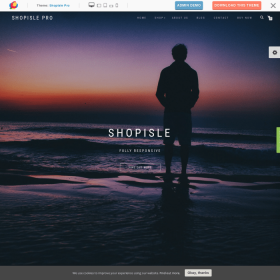 Themeisle ShopIsle Pro
