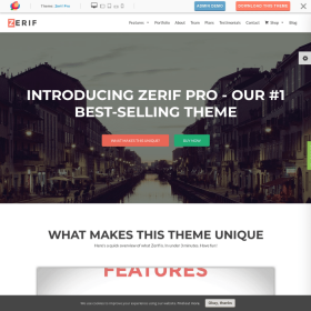 Themeisle Zelle (Zerif) Pro