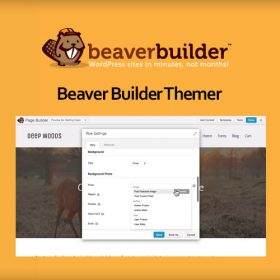 Beaver Themer for Beaver Builder