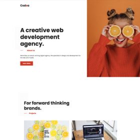 Elementorism Codea Elementor Landing Page