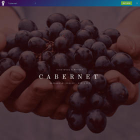 Elementorism Cabernet Elementor Landing Page