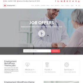 VisualModo – Employment WordPress Theme