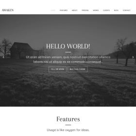 ZigZagPress Awaken Genesis Child WordPress Theme