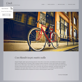 ZigZagPress Cinch Genesis Child WordPress Theme