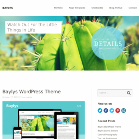 ElmaStudio Baylys WordPress Theme