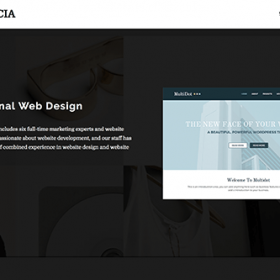 Theme Junkie Agencia Theme