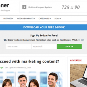 Theme Junkie Beginner Theme