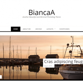 Theme Junkie BiancaA Theme