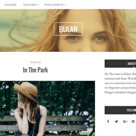 Theme Junkie Bulan Theme