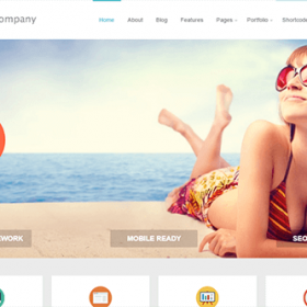 Theme Junkie Company Theme