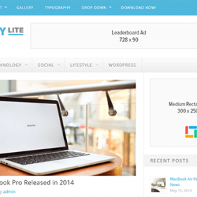 Theme Junkie Delivery Lite Theme