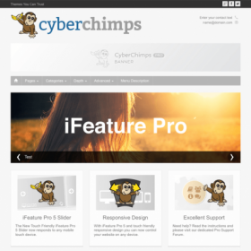 CyberChimps – iFeature Pro 5 WordPress Theme
