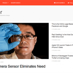 Theme Junkie Insider Theme