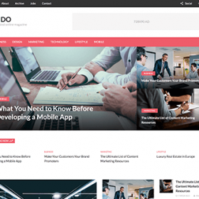 Theme Junkie Insido Theme