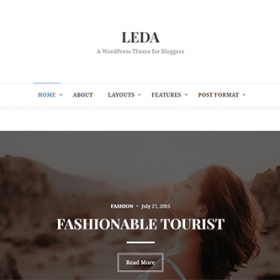 Theme Junkie Leda Theme