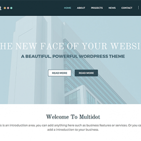 Theme Junkie MultiDot Theme