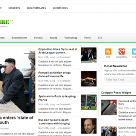 Theme Junkie Newswire Theme
