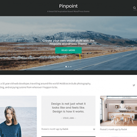Theme Junkie Pinpoint Theme