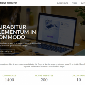 CyberChimps – Responsive Business WordPress Theme