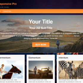 CyberChimps – Responsive Pro WordPress Theme