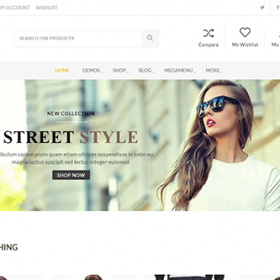 Theme Junkie Saha Theme