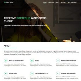 CyberChimps – Sentient WordPress Theme