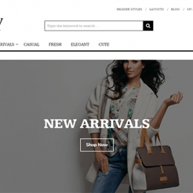 Theme Junkie Shopy Theme