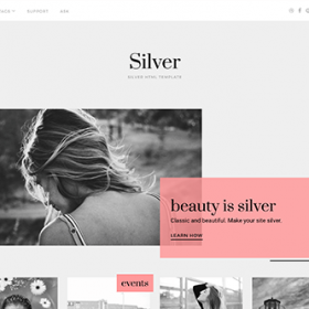 Theme Junkie Silver Theme