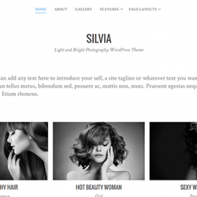 Theme Junkie Silvia Theme