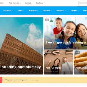 Theme Junkie SiteBox Theme