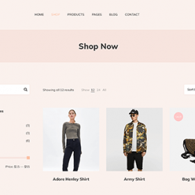 Theme Junkie Ultrastore Theme