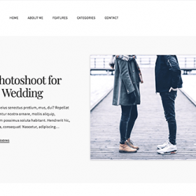 Theme Junkie Venissa Theme
