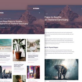 MyThemeShop Personal WordPress Theme