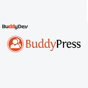 WordPress Restrict Email Domains