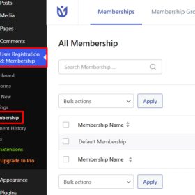 User Registration Membership
