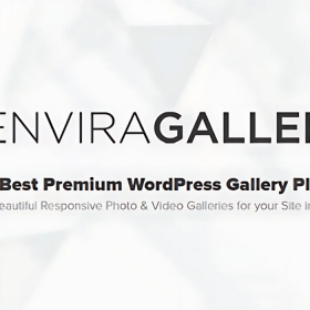 Envira Gallery – Animations Addon