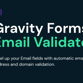 GP Email Validator