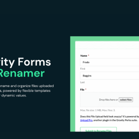 Gravity Forms File Renamer